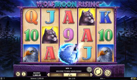 Custom slot machine Custom slot machine